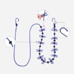 Unique Cloth Drying Rope with 12 Metal Clip heavy quality 2