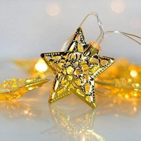 Kin 10 Yellow LEDs 4m Gold Steady Metal Star Rice Lights for Decoration (Pack of 1).